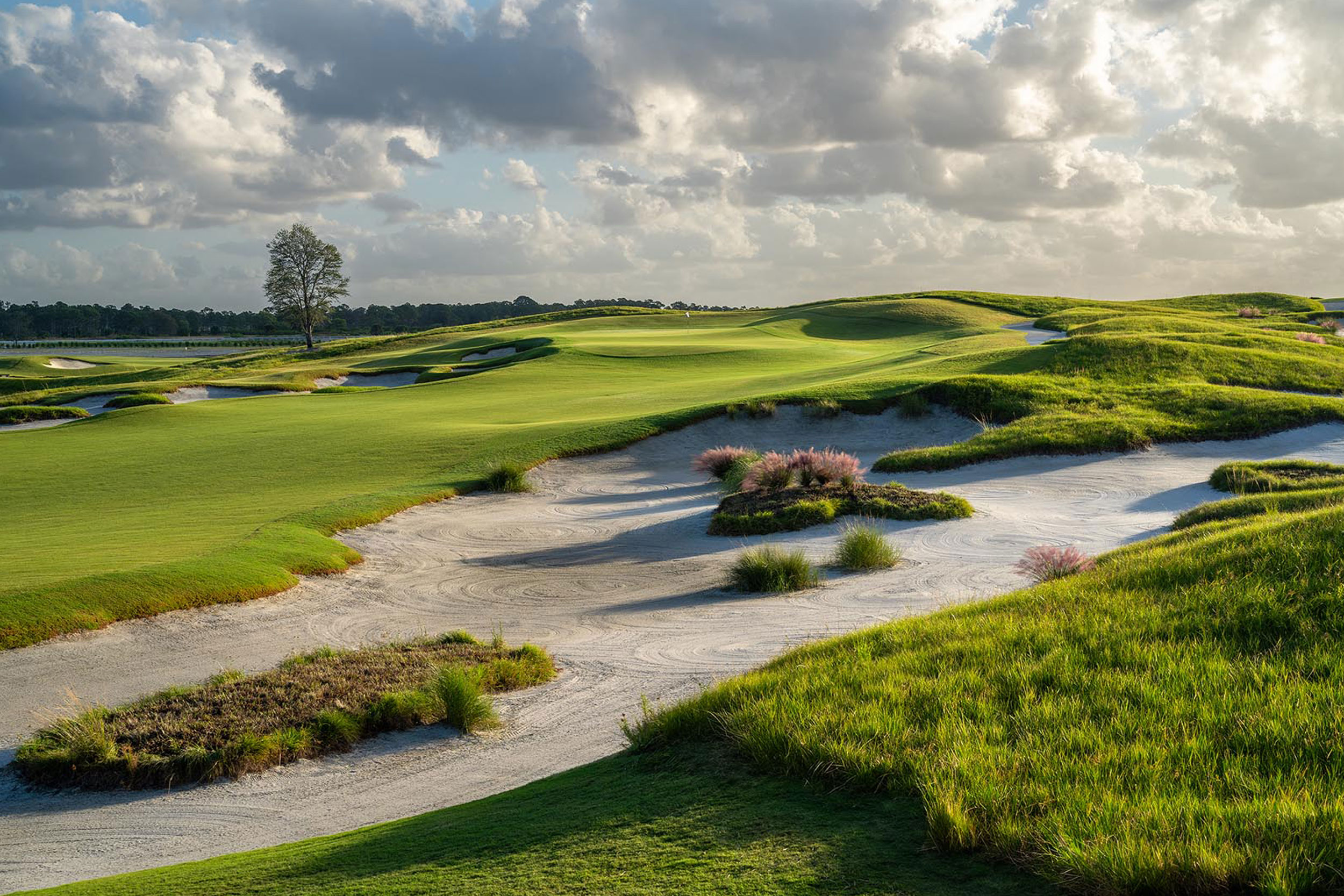 Panther National amenity 3